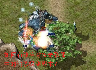 �����ЧӦ�Դ���˽���е�׷ɱ̽��ű���