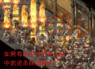 �����ЧӦ�Դ���˽���е�׷ɱ̽��ű���