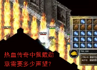 热血传奇中佩戴勋章需要多少声望? 热血传奇中佩戴勋章需要多少声望?