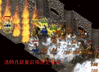 法师几级能召唤虎卫宝宝? 法师几级能召唤虎卫宝宝?