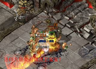 法师几级能召唤虎卫宝宝? 法师几级能召唤虎卫宝宝?