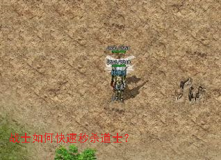 战士如何快速秒杀道士? 战士如何快速秒杀道士?