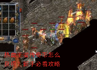 热血王者传奇币怎么获得?新手必看攻略 热血王者传奇币怎么获得?新手必看攻略