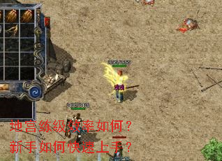 �ع�����Ч����Σ�������ο������֣�