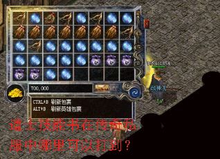 道士技能书在传奇私服中哪里可以打到? 道士技能书在传奇私服中哪里可以打到?