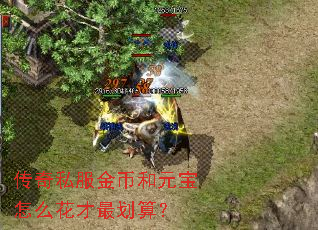 ����˽����Һ�Ԫ����ô������㣿