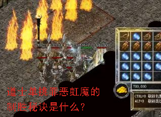 ��ʿ��������ħ����ʤ�ؾ���ʲô��