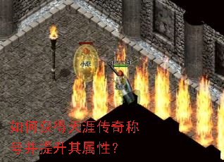 ��λ�����Ĵ���ƺŲ����������ԣ�