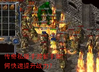 ����˽������������ο�������ս����