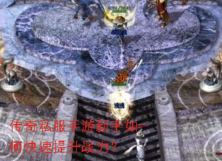 ����˽������������ο�������ս����