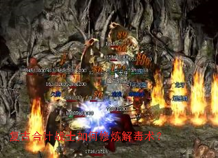 ���źϼ�սʿ��������ⶾ����