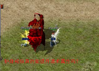 ������ָ�������������������