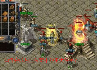 ��������Ѫ�����е���������