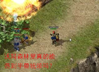 ����ɭ�����������������ͳ����