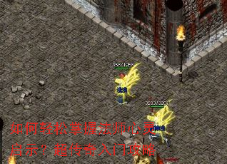 ����������շ�ʦ������ʾ�����������Ź���