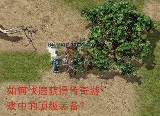 ��ο��ٻ�ô�����Ϸ�еĶ���װ����