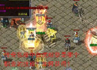 ����˽���а׻��׼����ĸ�ְҵ�ļ��ܣ���λ�ã�