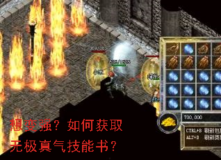 想变强?如何获取无极真气技能书? 想变强?如何获取无极真气技能书?