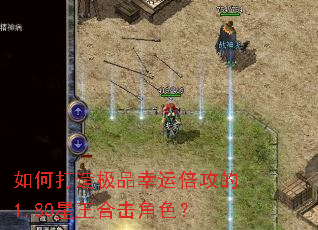 如何打造极品幸运倍攻的1.80星王合击角色? 如何打造极品幸运倍攻的1.80星王合击角色?