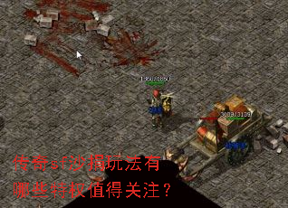 ����sfɳ���淨����Щ��Ȩֵ�ù�ע��