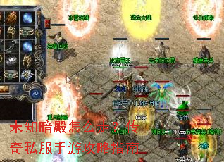 δ֪������ô�ߣ�����˽�����ι���ָ��