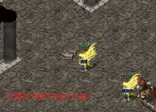 ����˫���˺Ų������ԣ�