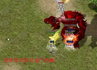 ����˫���˺Ų������ԣ�