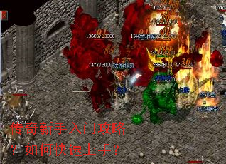 �����������Ź��ԣ���ο������֣�