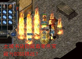 ���������������Щ������BOSS��ս��