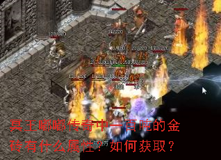 ڤ���ུ�����һ�ٶֵĽ�ש��ʲô���ԣ���λ�ȡ��