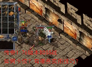 ����1.76�汾BOSSս��ο�λ������Щʵ�ü��ɣ�