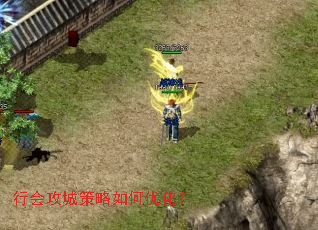 �лṥ�ǲ�������Ż���