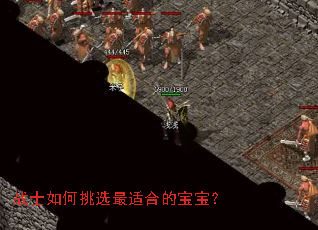 սʿ�����ѡ���ʺϵı�����