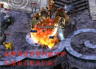 �����Ч��Ӫ��Ѫ����˽������������ң�