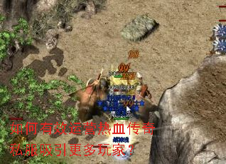 �����Ч��Ӫ��Ѫ����˽������������ң�