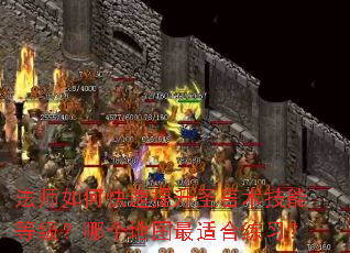 ��ʦ��ο�������ʥ�������ܵȼ����ĸ���ͼ���ʺ���ϰ��