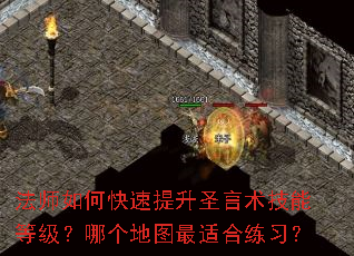 ��ʦ��ο�������ʥ�������ܵȼ����ĸ���ͼ���ʺ���ϰ��