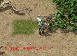 ��ʿPKսʿ����Щʵ�ü��ɣ�