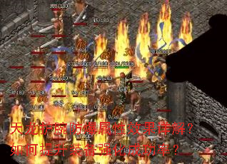 ���������������Ч����⣿�������װ��ǿ���ɹ��ʣ�