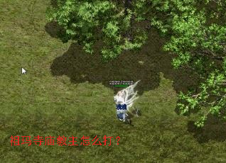 ��������������ô��