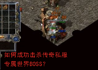 ��γɹ���ɱ����˽��ר������BOSS��