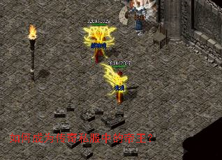 ��γ�Ϊ����˽���еĵ�����