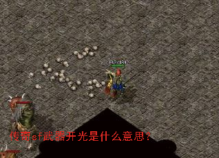 ����sf����������ʲô��˼��