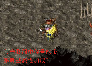 ����˽���гƺ��ܴ�����Щ���Լӳɣ�