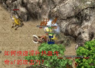 ��ο���������Ѫ����sf�Ĺ�������