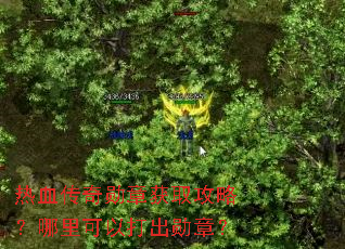 ��Ѫ����ѫ�»�ȡ���ԣ�������Դ��ѫ�£�