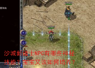 ɳ���µ�ʿNPC����Щ���ؼ��ܣ������ָ����������