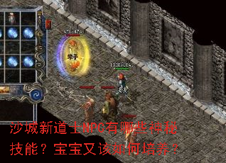 ɳ���µ�ʿNPC����Щ���ؼ��ܣ������ָ����������