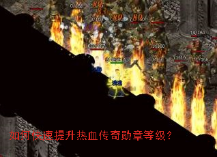 ��ο���������Ѫ����ѫ�µȼ���