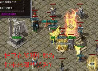 护卫在游戏中能为你带来哪些优势? 护卫在游戏中能为你带来哪些优势?